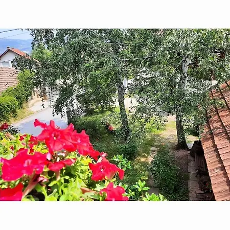 Homestay Hill *
