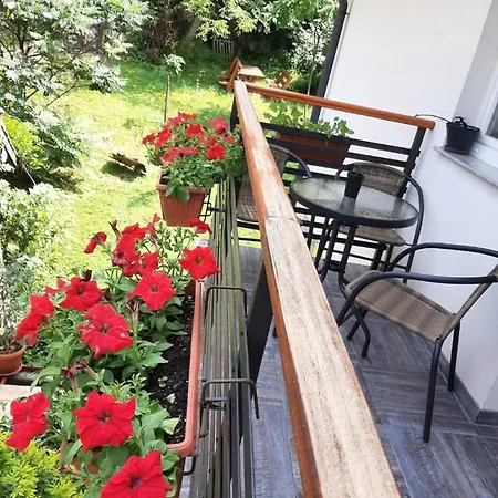 Homestay Hill Sarajevo